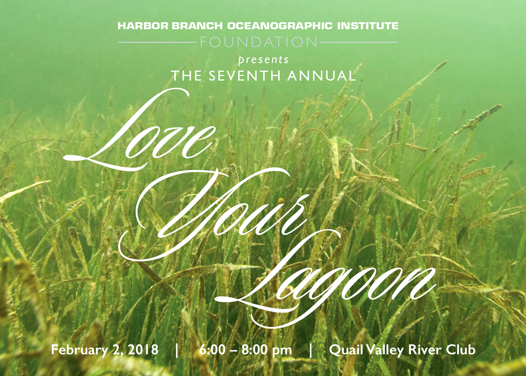 photo of the seventh annual love your lagoon invitation